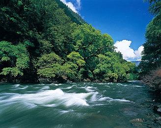 Capcom发2023财年Q2财报：收入和利润双下滑